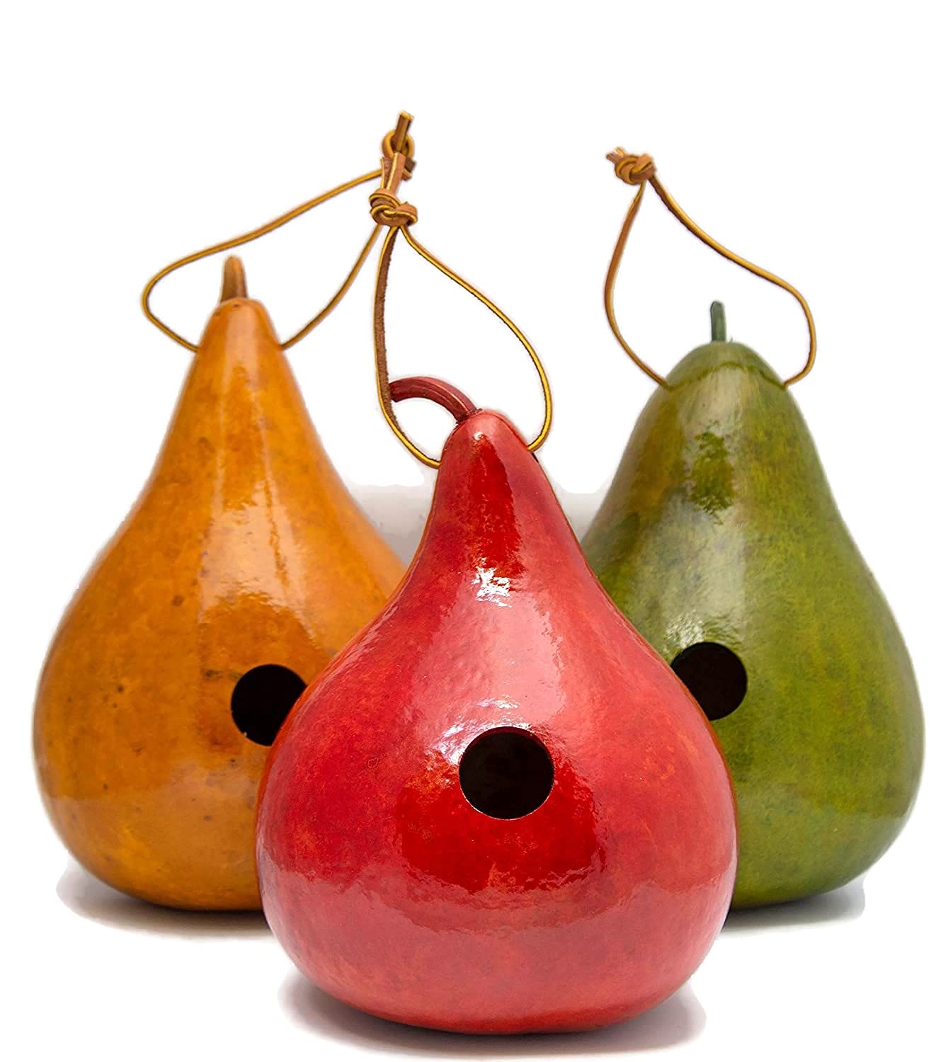 Natural Gourd Birdhouses Set of 3