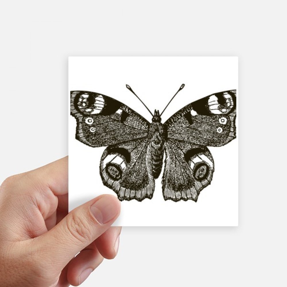 Sticker carré papillon dark wing pour personnaliser une valise et un mur de chambre