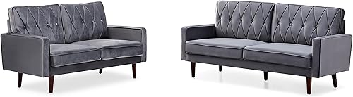 Container Furniture Direct S5738N - Sofá de terciopelo copetudo de estilo moderno para sala de estar con tapicería de tela suave y marco de madera