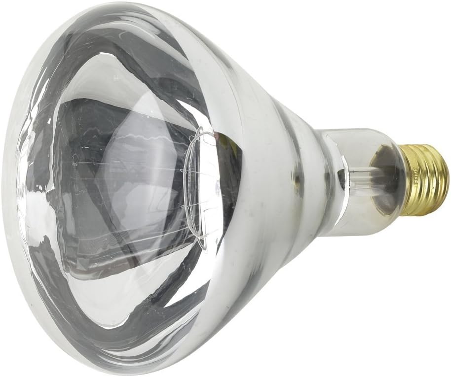 Feit Electric 250R40/1 250 Watt Clear Heat Lamp