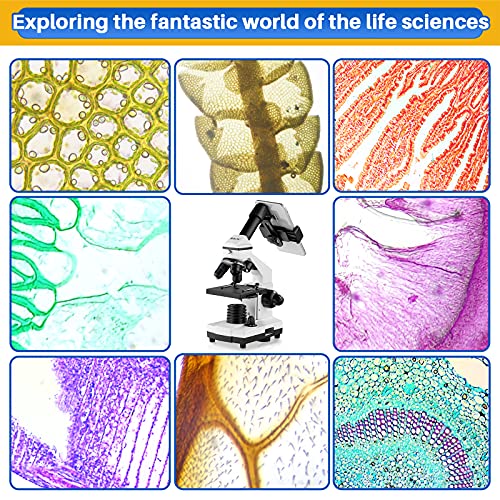 Electronikz BEBANG 100X2000X Microscope for Kids Students Adults