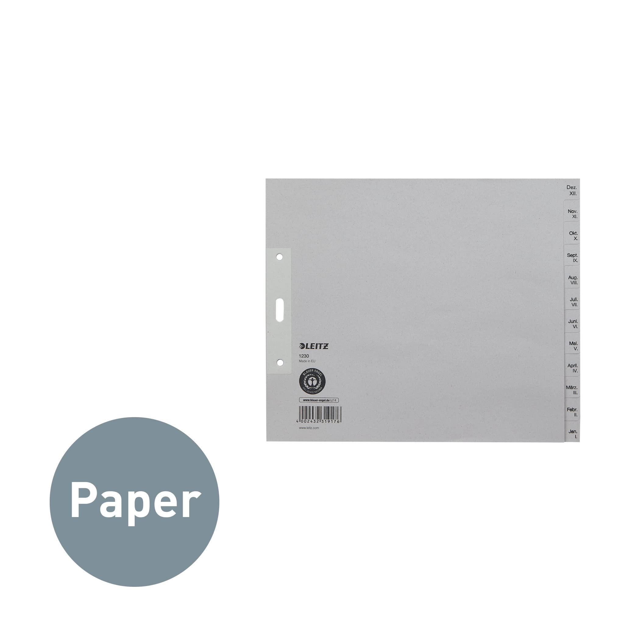 Amazon.co.jp: Esselte Leitz ペーパーインデックス 1月~12月 A4用紙