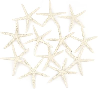 Jangostor 12 PCS Starfish 4-5 Inch Ocean Beach Starfish Natural Colorful Seashells Starfish Perfect for Wedding Decor Beach Theme Party, Home Decorations,DIY Crafts, Fish Tank