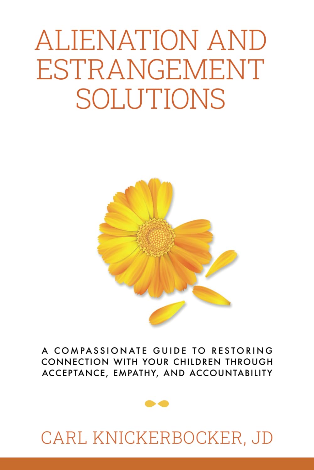Alienation And Estrangement Solutions: A Compassionate Guide To Restoring Connection With Your Children Through Acceptance, Empathy, And Accountability: 6 (The Family Court Solutions Series)