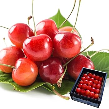 山形県産さくらんぼ 佐藤錦2L以上　特秀品　500g×3 0050030000062_O5w39yi.jpg