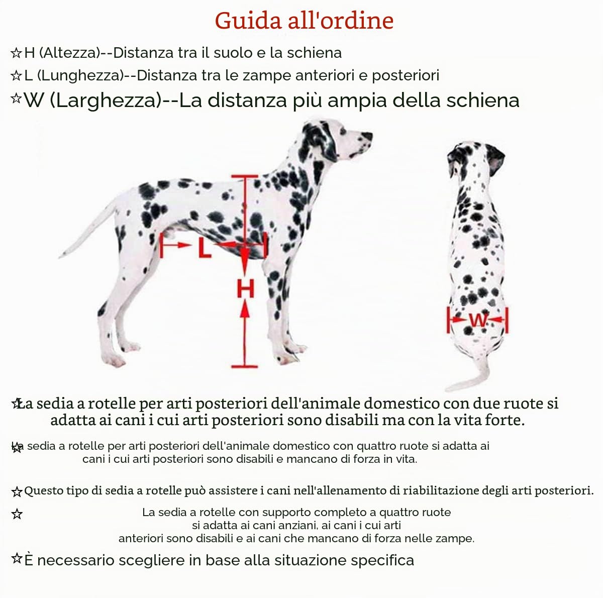 Sedia a Cani Rotelle Regolabil,Carrello Animali,Formazione Riabilitazione Zampe Posteriori Deboli Cane con Handicap,Adatto Altezza Animale 44-60cm,Larghezza 21-28cm,Lunghezza 30-40cm,XL-1