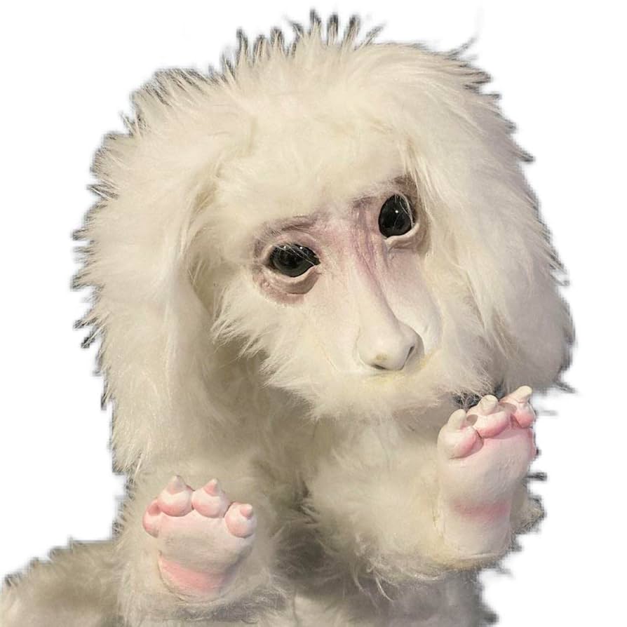 Amazon.co.jp: ファルコン NEVER ENDING STORY ぬいぐるみ