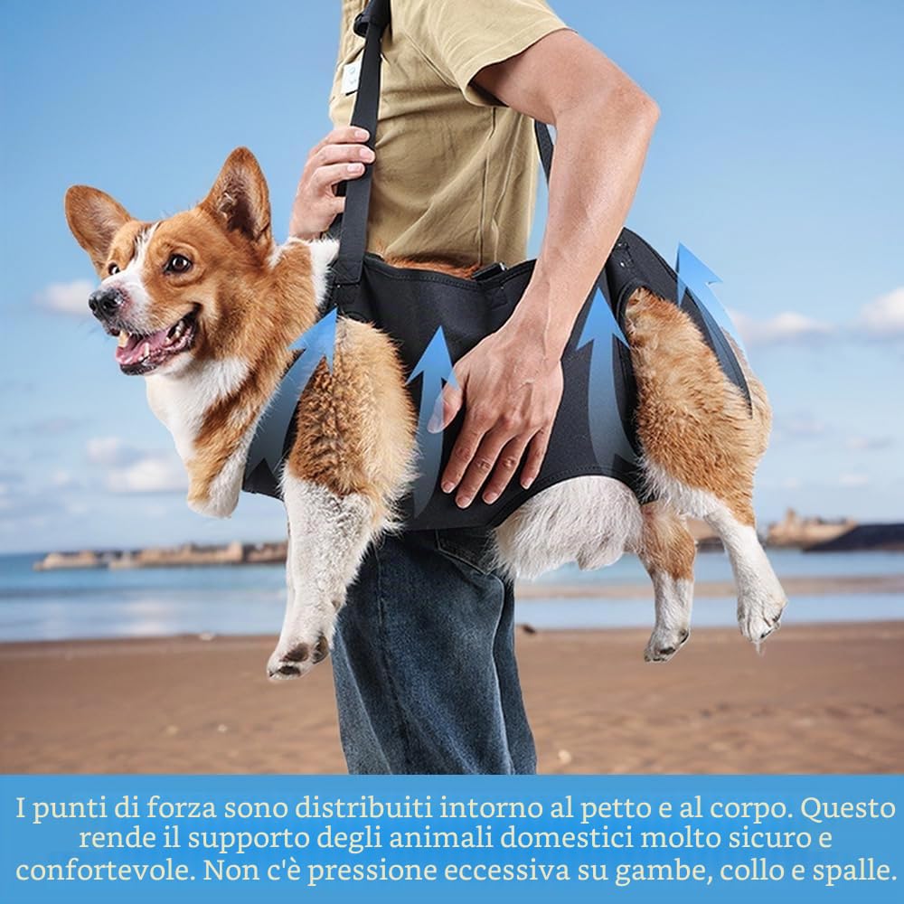 Imbracatura Cani Supporto e Recupero di Zampe Animali Domestici Vestibilità Regolabile per Cani Anziani Affetti da Artrite(M)