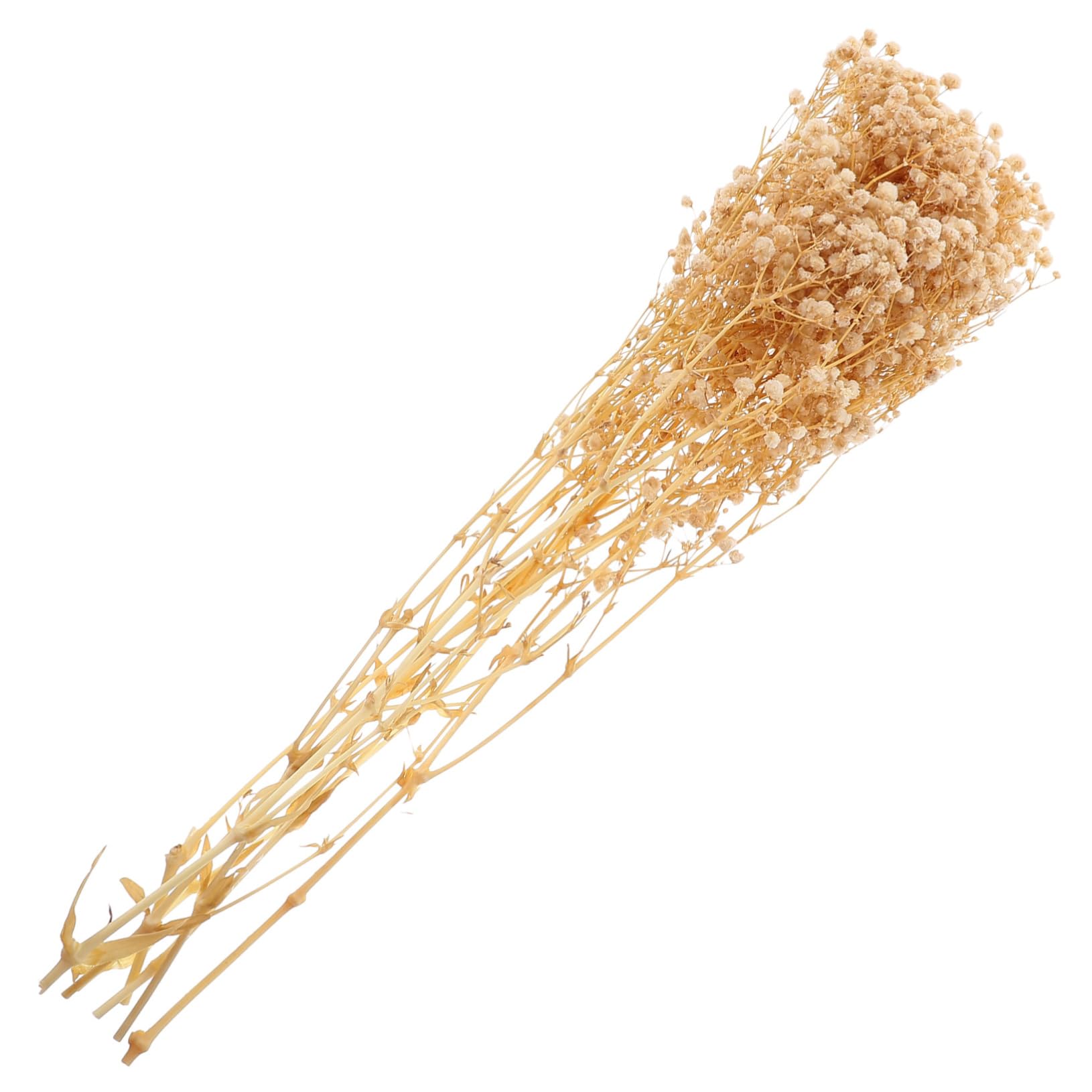 MAGICLULU 4Pcs 1 Gypsophile Fleur Éternelle Bouquet De Fleurs Séchées Décoration De Mariage Fête De Jardin Décoration De La Maison Bouquet 44Cm 40G Un Bouquet Arrangements De Fleurs