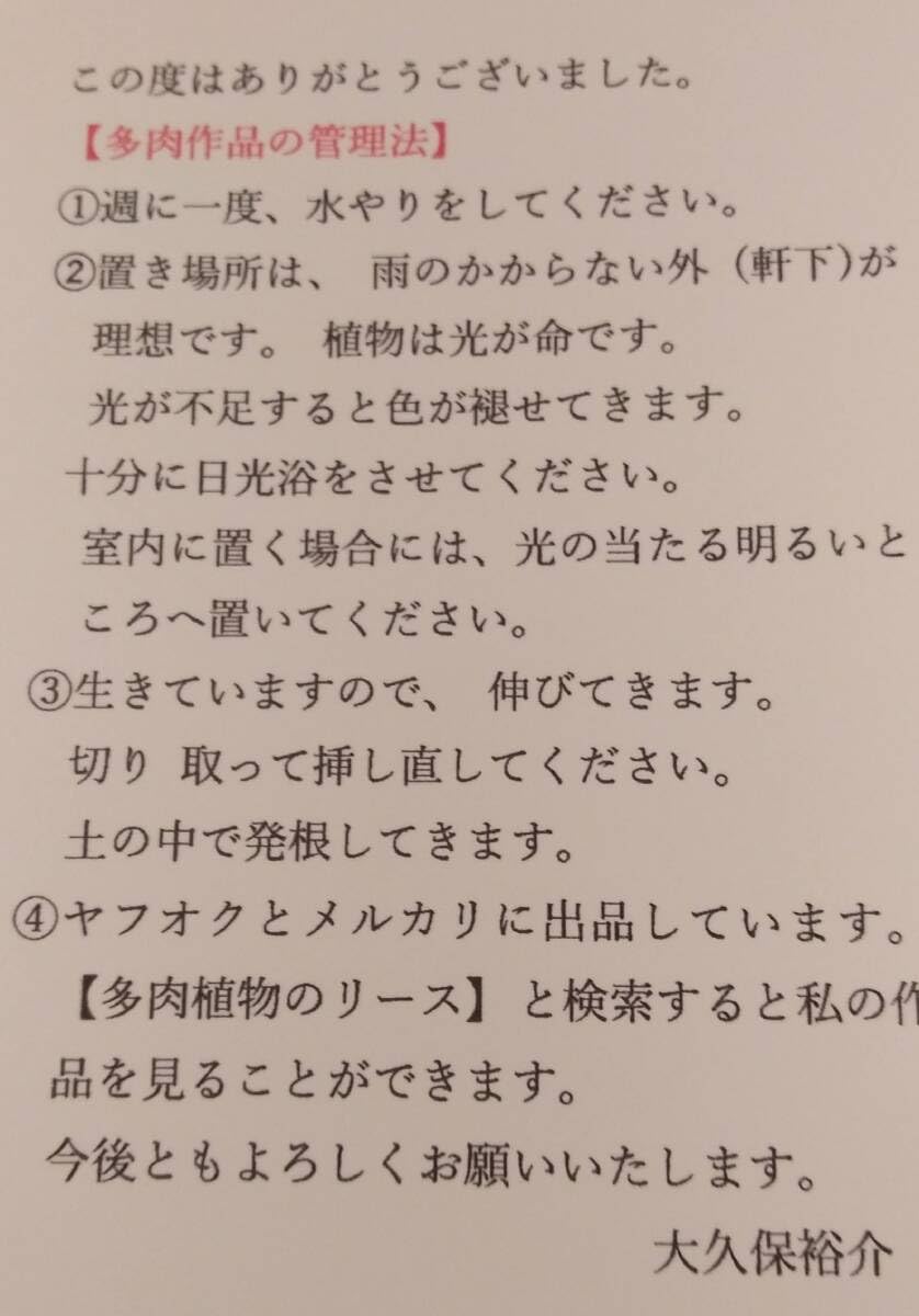 061001多肉植物の寄せ植えシマエナガプチ多肉テーブル多肉３点セット