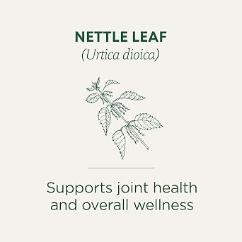 Traditional Medicinals Organic Nettle, 16 Tea Bags | Supports Joint Health & Overall Wellness with Stinging Nettle, Kosher, Non-GMO, Caffeine-Free, Compostable