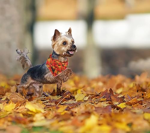 Miniatura 5 de DOGWONG Bandana de otoño para perro, de algodón, lavable, suave, bufanda de Acción de Gracias, bufanda de perro para niños y niñas, bandana cuadrada