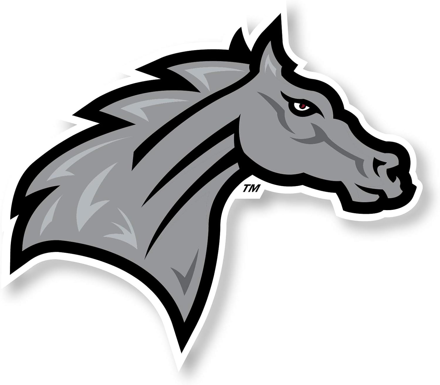 Rider University Broncs 12 Inch Vinyl Mascot Magnet 4-Pack Officially Licensed Collegiate Product