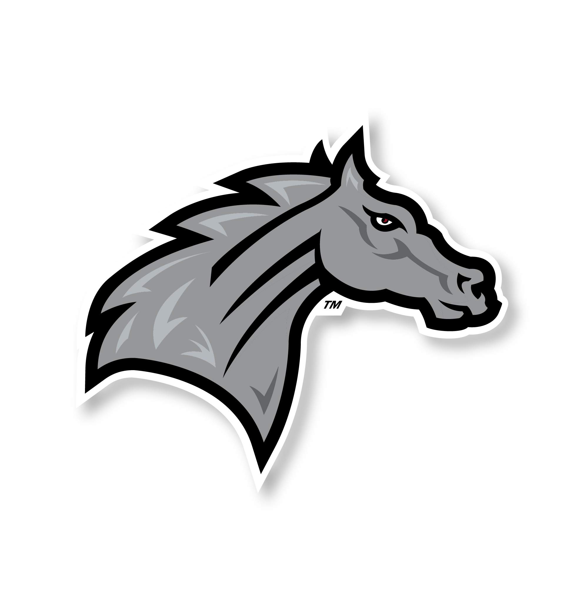 Rider University Broncs 6 Inch Vinyl Mascot Magnet 4-Pack Officially Licensed Collegiate Product