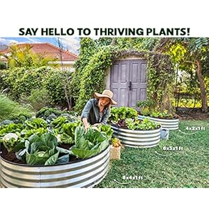 Galvanized Raised Garden Beds Outdoor // 4×2×1 ft Planter Raised Beds for Gardening, Vegetables, Flowers // Large Metal Garden Box (Silver) // Patented Tool-Free Design Galvanized Raised Garden Beds Outdoor 421 ft Planter Raised Beds for Gardening Vegetables Flowers Large Metal Garden Box Silver Patented Tool Free Design