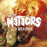  40 Days A Rotting [Vinyl LP]