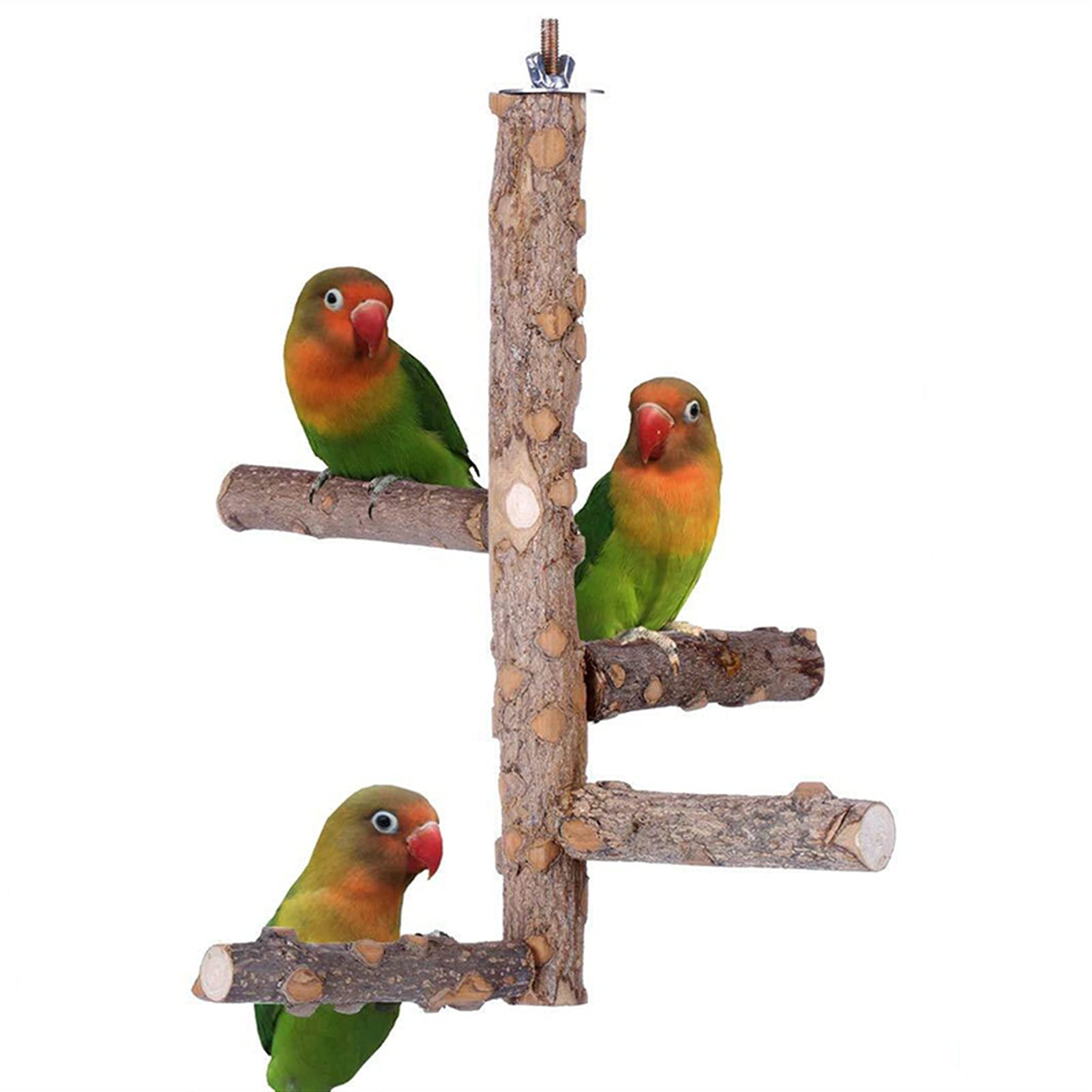 Giocattoli per Uccelli Vestito da parrocchetto in Legno Naturale Giocattoli parrocchetti per Carri per pappagalli Conforms Budgie Platform Hanging Multi Branch Sych (Color : Small)