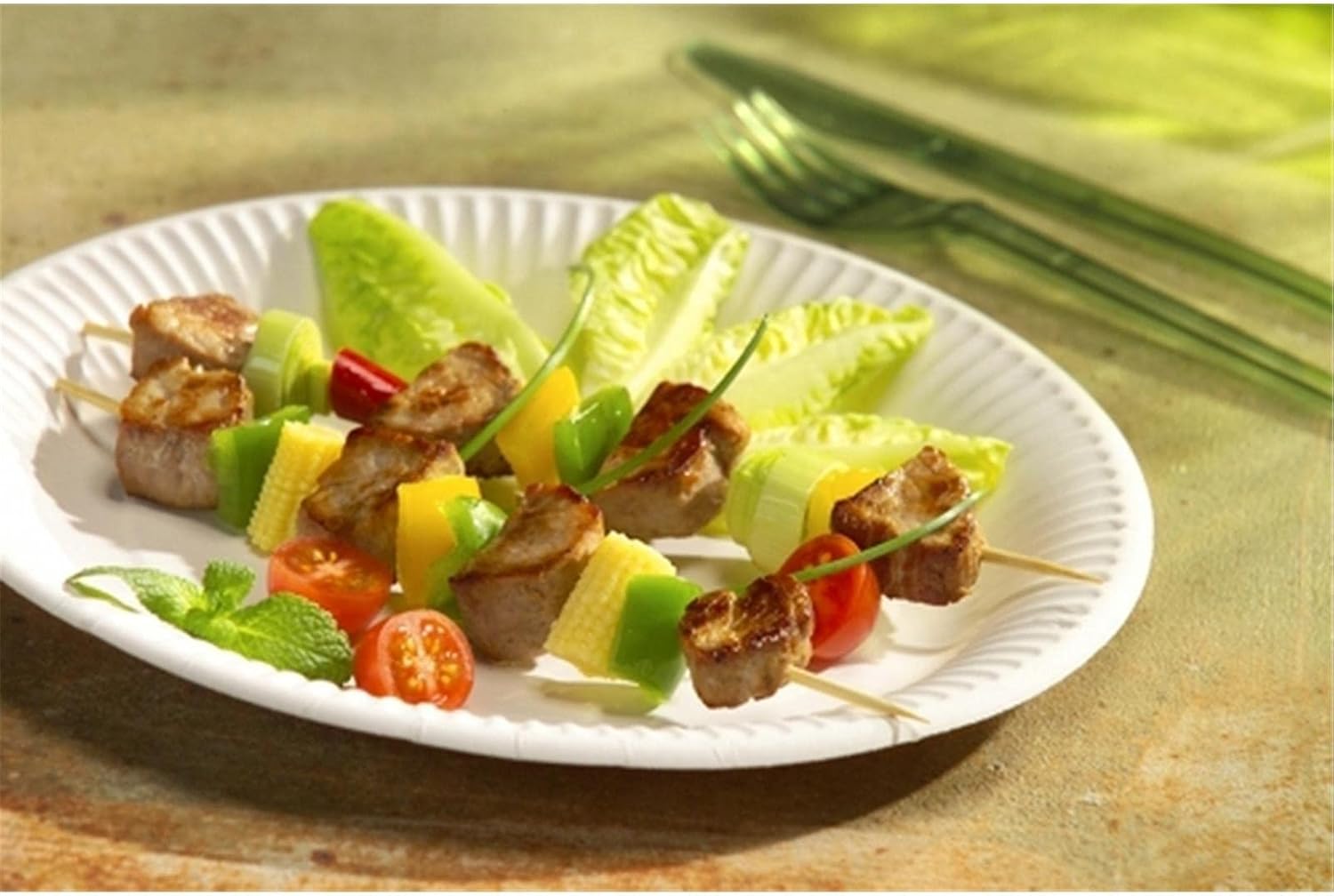 PAPSTAR 11176 Disposable Plates Fresh Fibre Box Tamfold 5.50 x 26 x 26 cm
