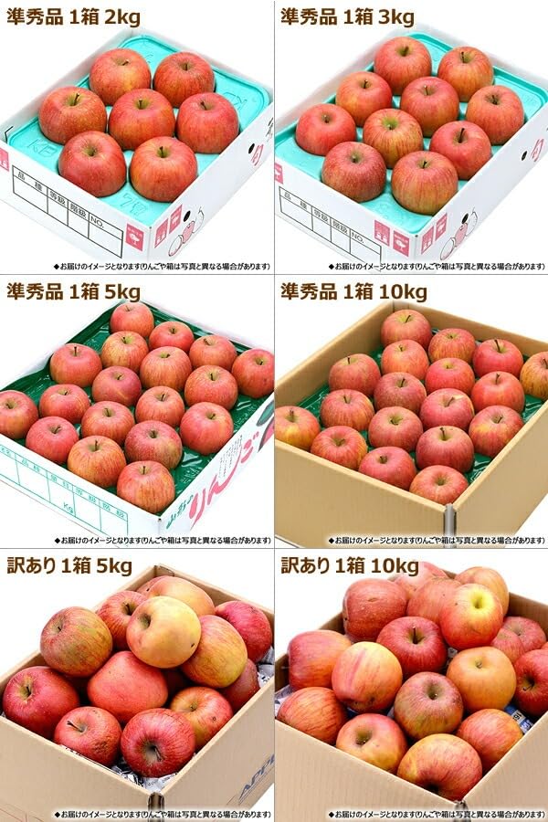 リンゴ　10kg⑲　山形県産サンふじ　家庭用　産地直送　ギフト　子供のおやつにも 予約】山形県産 りんご サンふじ 10kg (秀品/26玉〜40玉入り) 2026 旬
