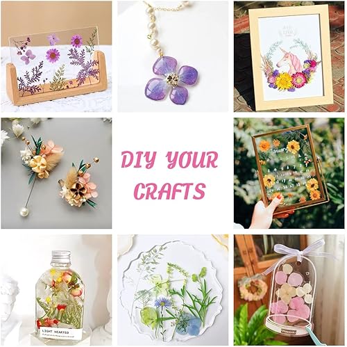 Miniatura 6 de Blaflo Más de 35 piezas de flores moradas para modelo de resina, flores prensadas reales, hojas secas a granel, kit de hierbas naturales para