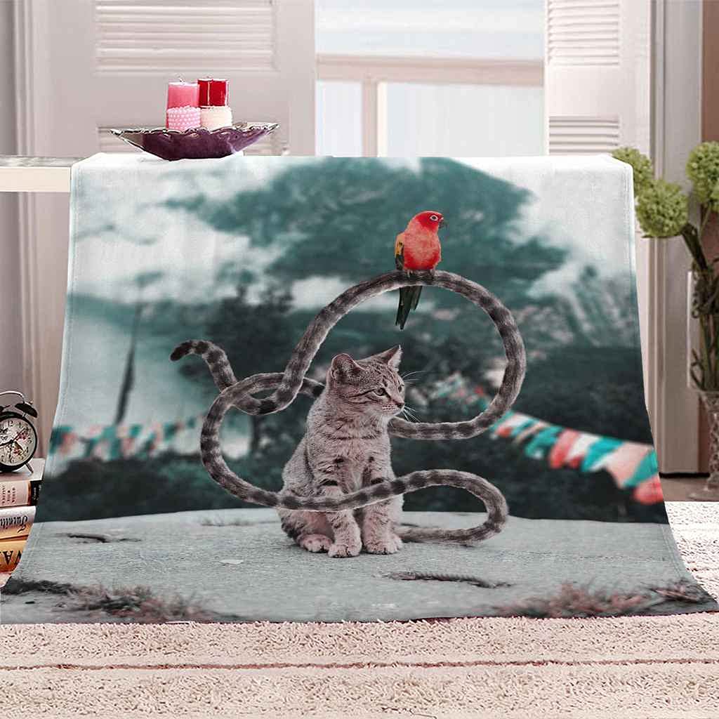 Couverture polaire chat pour soirées cocooning confortables dans le salon