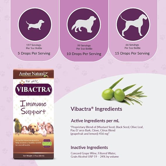 Amber NaturalZ Vibactra Immune Support Herbal Supplement for Dogs, Cats, Birds, Guinea Pigs, and Rabbits | Pet Herbal Blend for Overall Health | 1 Fluid Ounce Glass Bottle | Manufactured in the USA