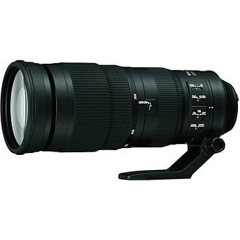 ニコン純正 NIKKOR 200-500mm f/5.6E Nikon AF-S NIKKOR 200-500mm f/5.6E ED VR | DSLR Lenses