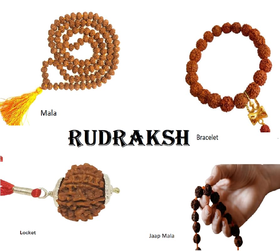12 मुखी नेपाली रुद्राक्ष Barah|12 Mukhi Rudraksha Nepali Twelve|बारह मुखी 3