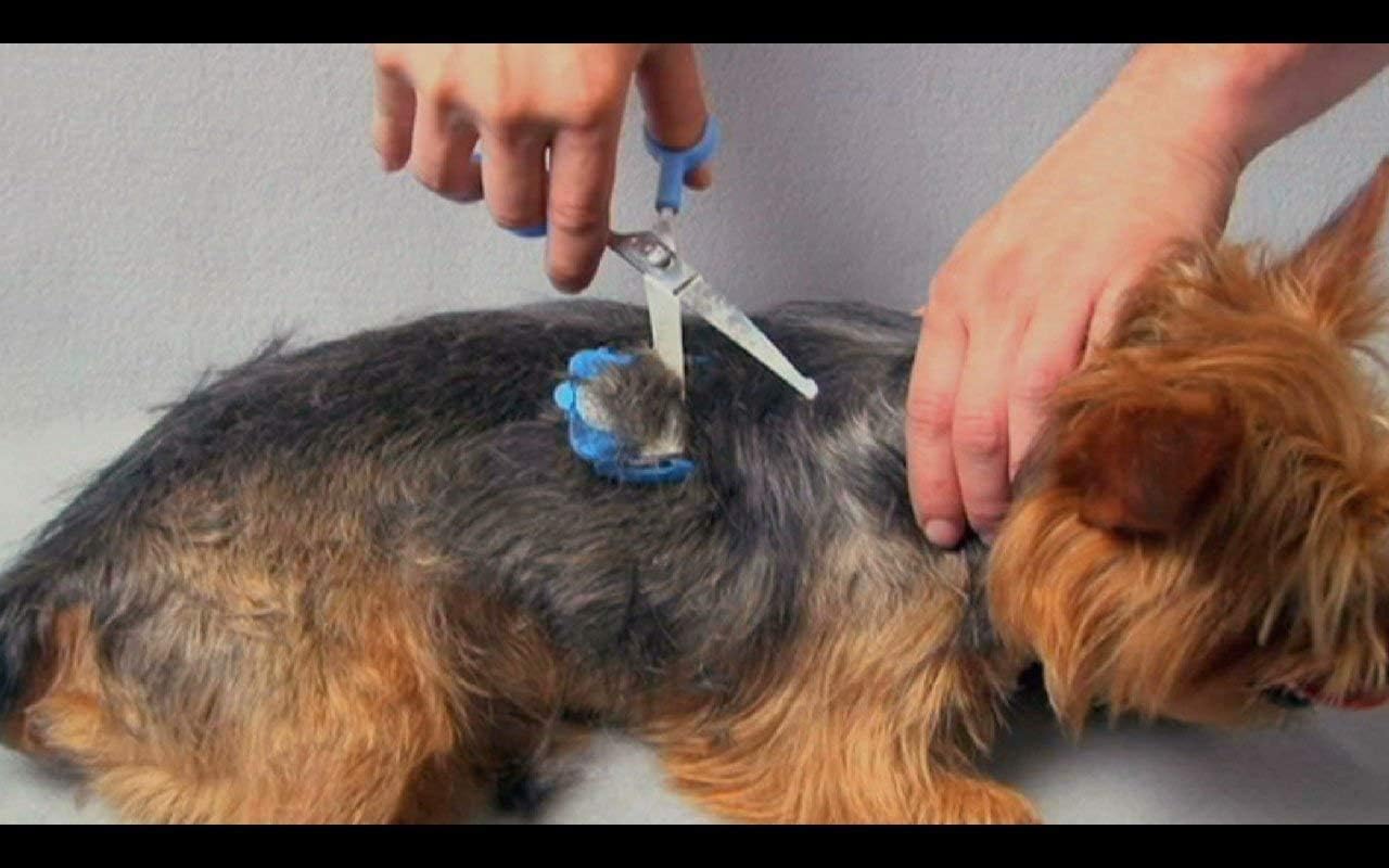 Scaredy Cut Silent Clipper + Dematting Comb Pet Grooming Kit, Blue, Right-Handed 17pc RH + Dematting, Blue