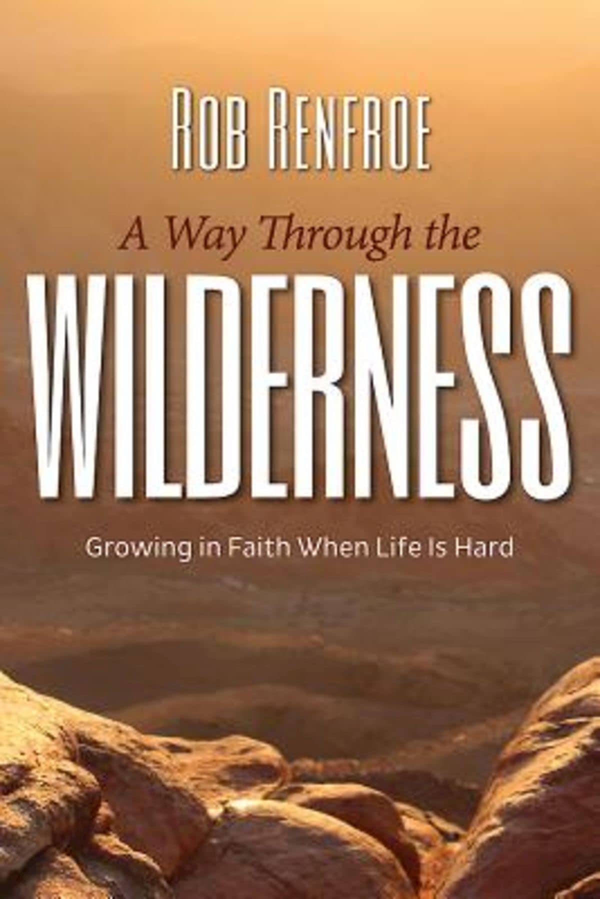 A Way Through the Wilderness: Growing in Faith When Life Is Hard [Paperback] Renfroe, Rob
