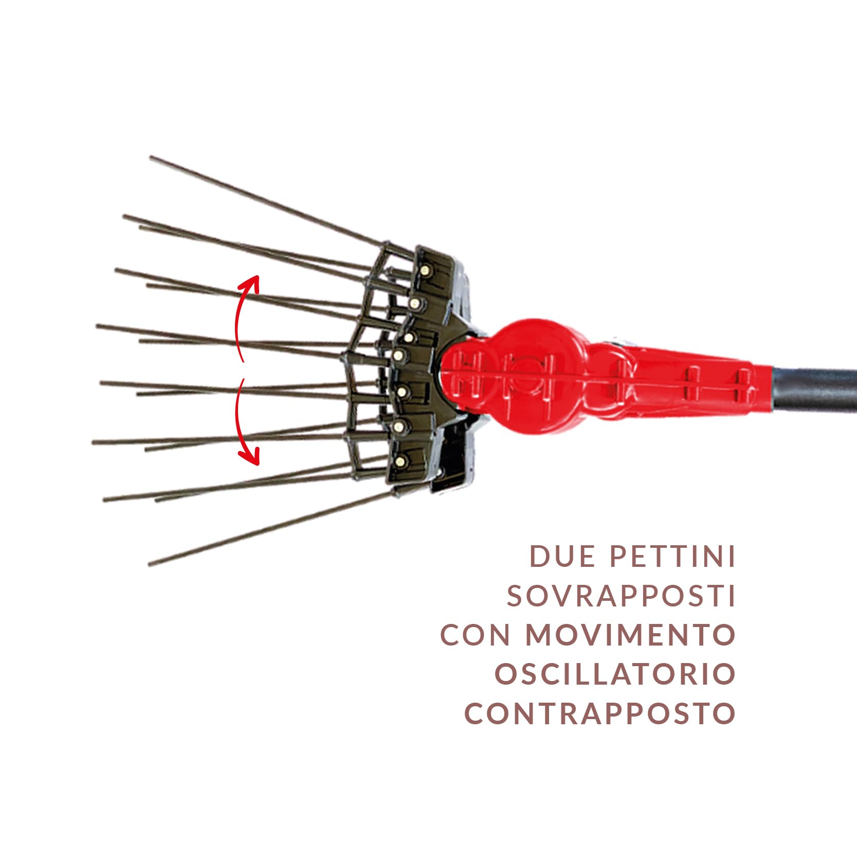 Aima Tandem Abbacchiatore Elettrico per Olive, 12V, 700W, Asta Telescopica 185-275 cm, Doppio Pettine, Con 2 Batterie 21V 5,2 AH incluse