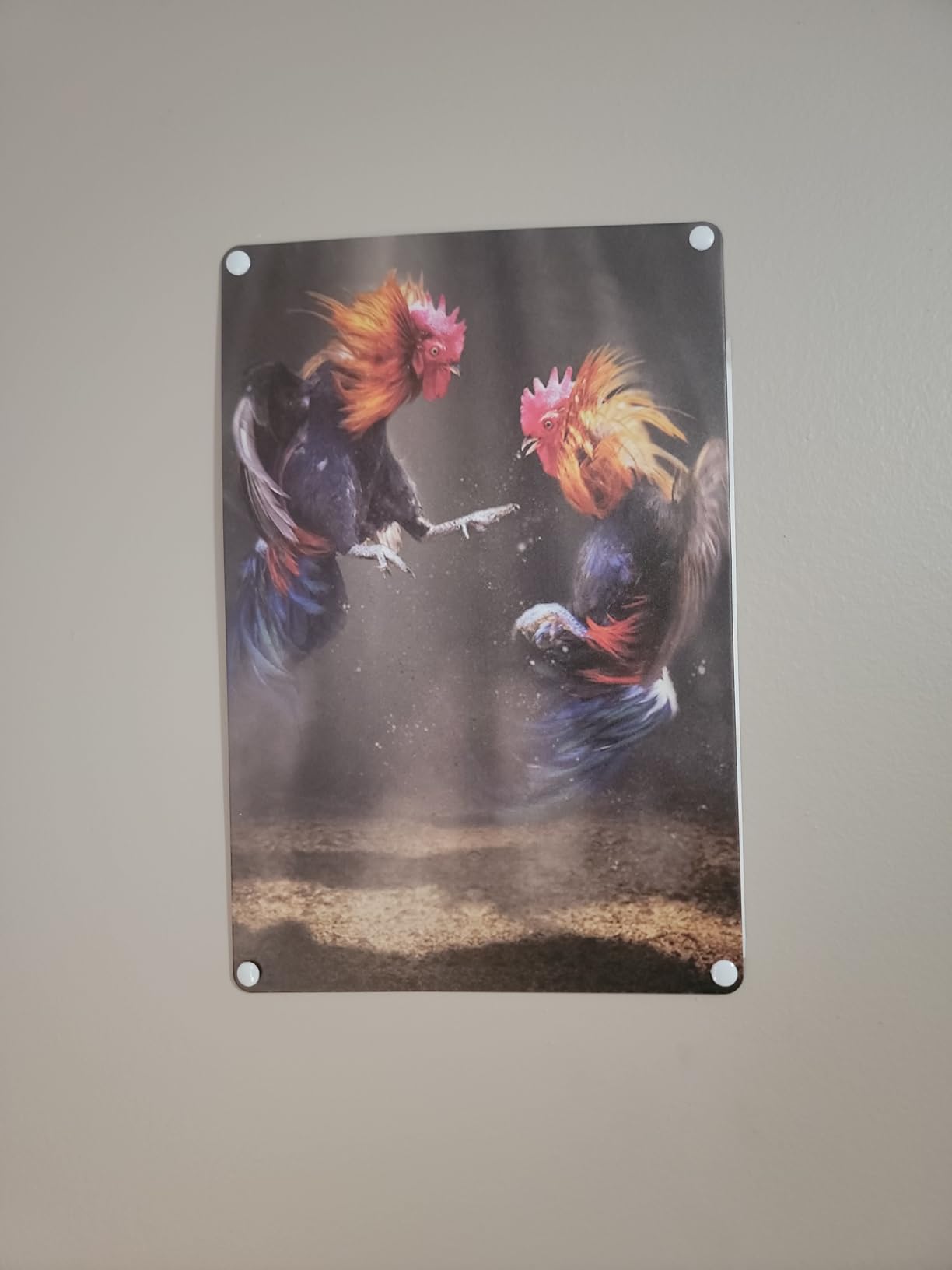 Cartel De Metal Sin Fotografía, Letreros Decorativos De Pared