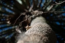 Review Image by Ross B. Ross B.