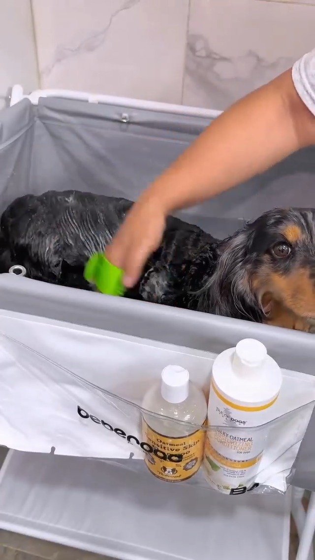 Amazon.co.jp: BEBEROAD PETS B4 犬 バスタプ ペット用バスタプ