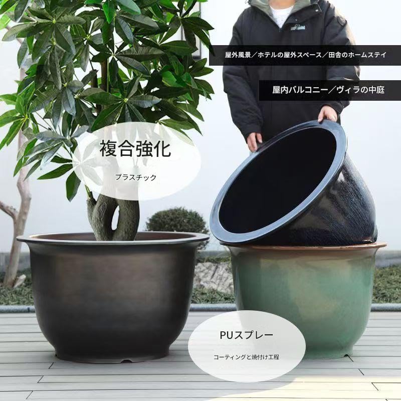 Amazon | TravelAce 大型 メダカ めだか 金魚 きんぎょ 睡蓮 すいれん