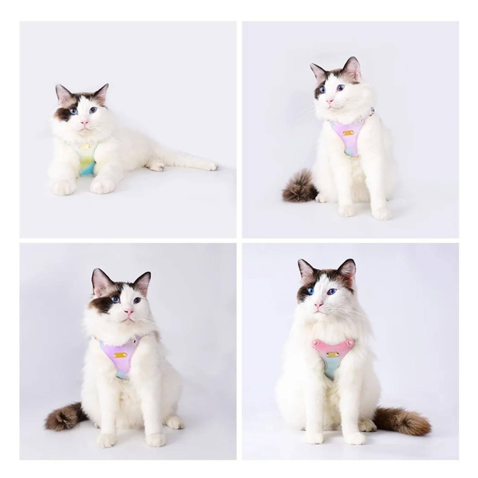 Harnais anti-échappement en cuir souple et imperméable pour chat, chihuahua et petit chien (bleu, taille M)