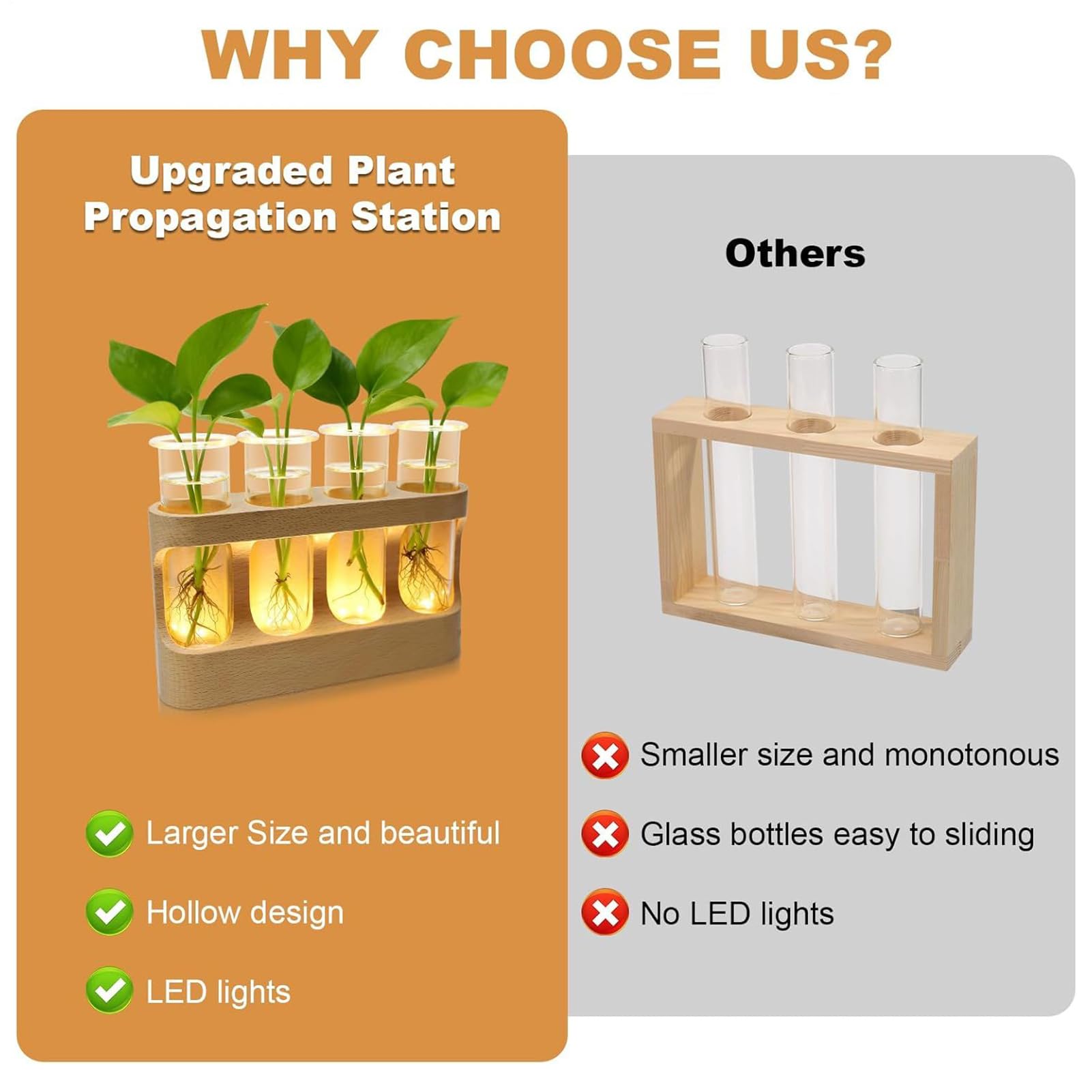 Vase De Propagation Terrarium avec Éclairage LED Réglable
