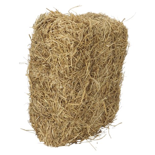 Strohballen Kaufen In Der Nahe