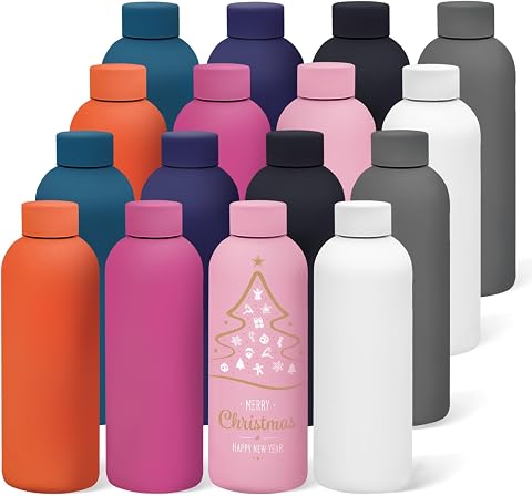 WHEATHUSK 16 Pack Stainless Steel Insulated Water Bottle 17oz