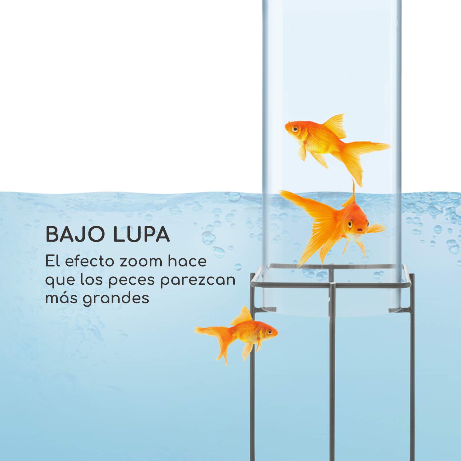 blumfeldt Skydive - Torre para Peces, Columna de Cristal acrílico, Base de Metal, Resistente Intemperie, Protección Rayos UV, Efecto Aumento, Pared 3mm Grosor, 20cm diámetro, 127cm Alto, Transparente