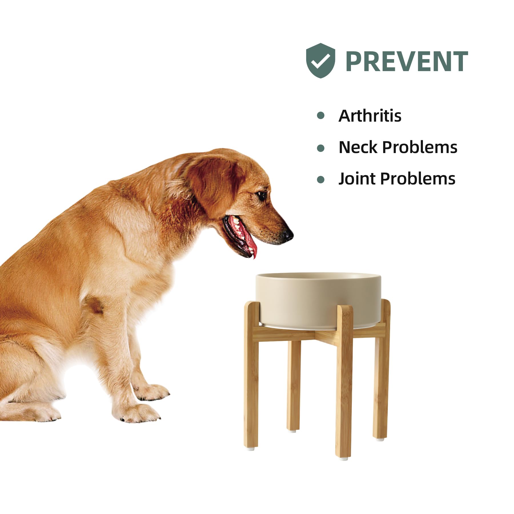 Havniva Hundenäpfe erhöht, Keramik Hundefutter und Wassernapf