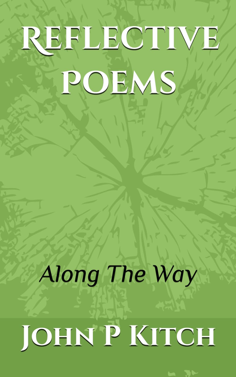 Reflective Poems: Along The Way