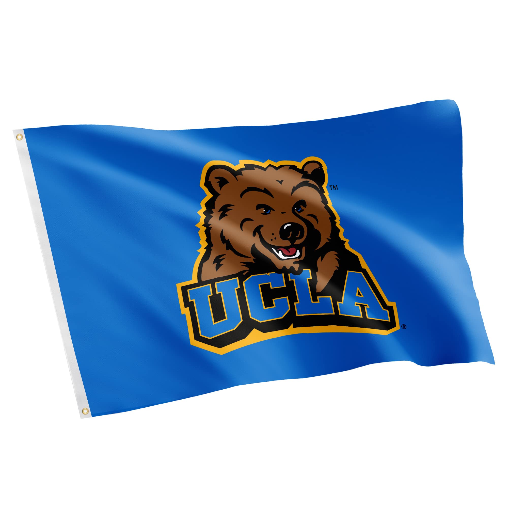 Desert Cactus UCLA Bruins Flag - 3 x 5 Feet University of California Los Angeles Banner, Indoor/Outdoor Durable Fabric, 100% Polyester Design (Style