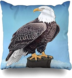 Fodera per cuscino da tiro American Brown Asia Eagle Beak Bird Prey Clutch Eurasia Sky Decor Federa Decor per la casa Dimensioni quadrate 45X45 Cm Federa