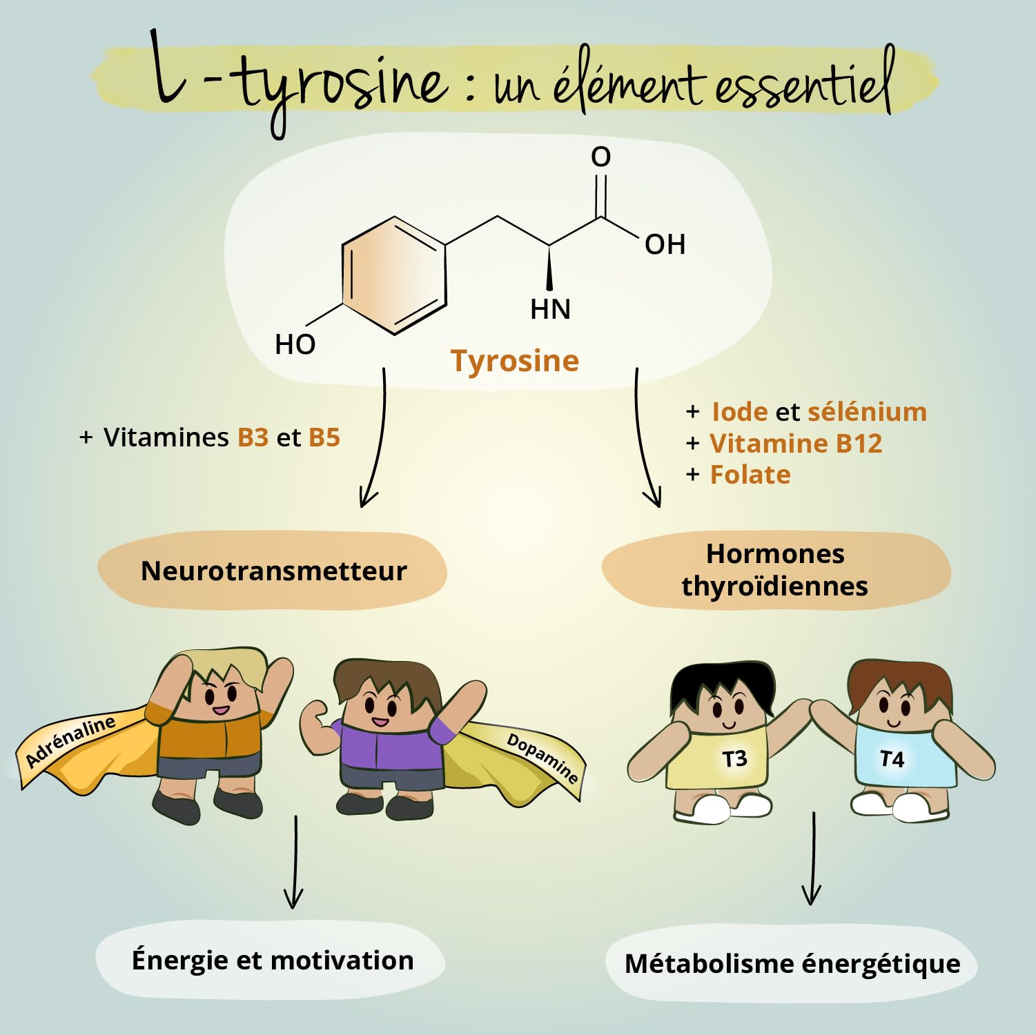 Vegavero L-Tyrosine Plus 1200 mg | THYROIDE* | Avec Iode, Selenium et Vitamine B | Énergie + Fatigue Mentale | 180 Gélules | VEGAN et SANS ADDITIFS