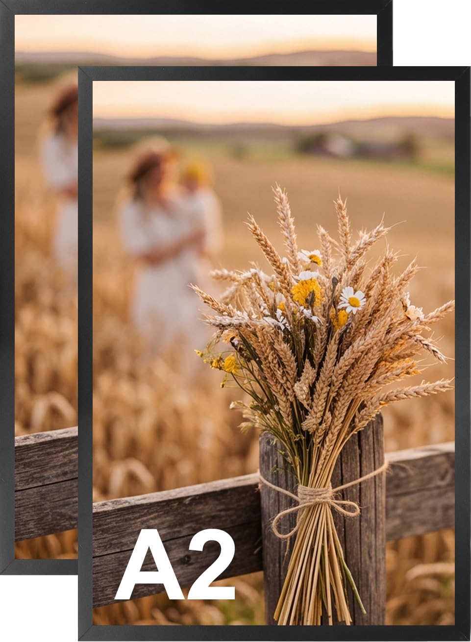 Ditwis A2 Picture Frames Set of 2, Black Aluminium Poster Frames A2 (42x59.4cm) for Prints and Photos, Wall Display for Home Offices Galleries