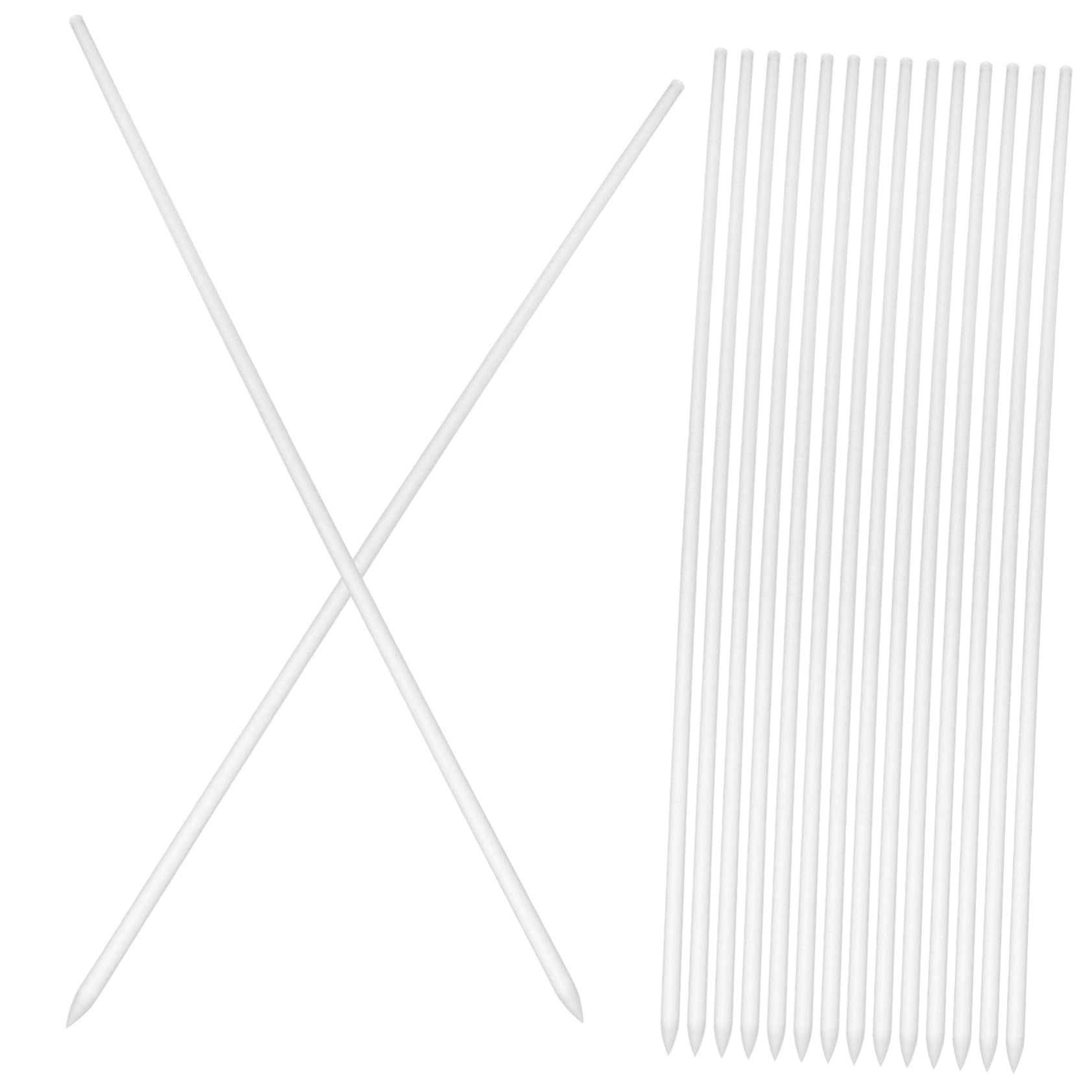 ibasenice 3 Ensembles Piquets De Plantes Acrylique Transparent pour Soutien Vertical des Plantes Grimpantes Outil De Jardinage Pratique 16 Pièces * 3