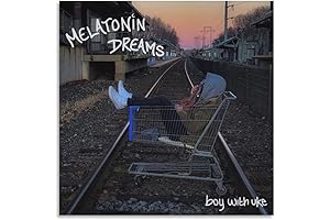 Boywithuke Melatonin Dreams Canvas Poster - Bedroom Decor Sports Landscape Office Room Decor Gift