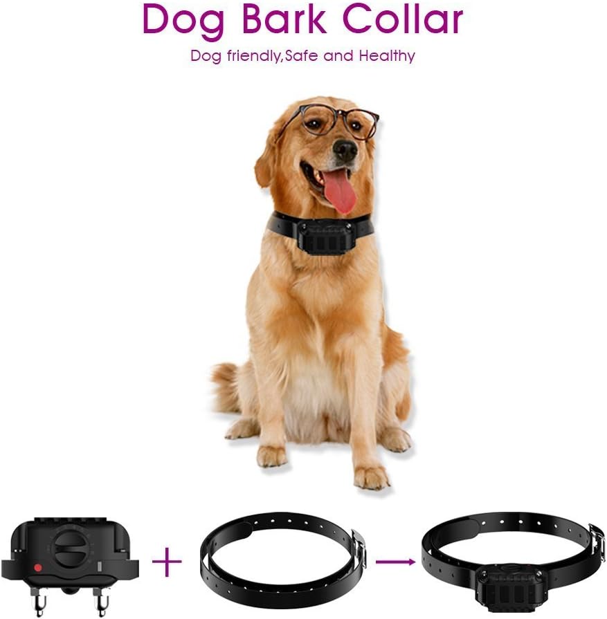Anti Barking Collar Petfere Dog Training Collar Rechargeable and Rainproof With 7 Sensitivity Adjustable Levels