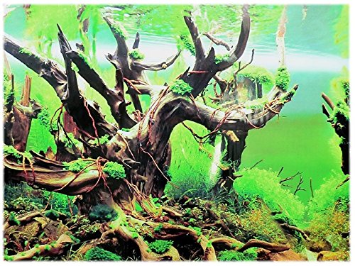 Amtra Rückwandfolie 120x50cm - Aquarium Hintergrund Unterwasser Meer Motiv